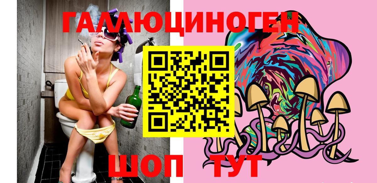 Псилоцибиновые грибы Psilocybine cubensis  Вход с VPN  Псилоцибиновые грибы мицелий  Прохладный 