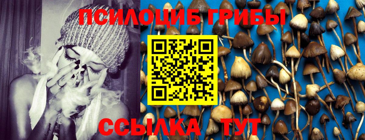 Псилоцибиновые грибы мухоморы Прохладный